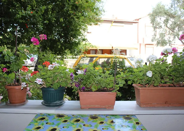 Titiz فندق مرمرة أداسي